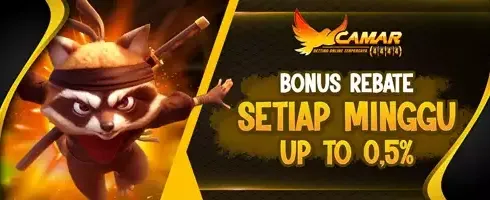 Rebate VIP Mingguan 0.5% promotion