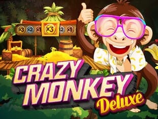 Crazy Monkey Deluxe Game Poster
